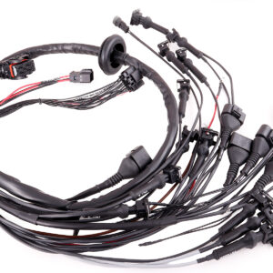 Custom Terminated Harness With an ECU